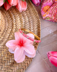 JONC FLORA CORAIL