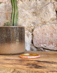 JONC PALMA CORAIL